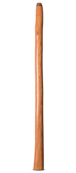 Epoxy Resin Finish Didgeridoo (TM419)